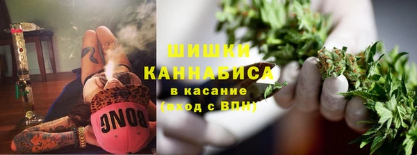 мдпв Вяземский