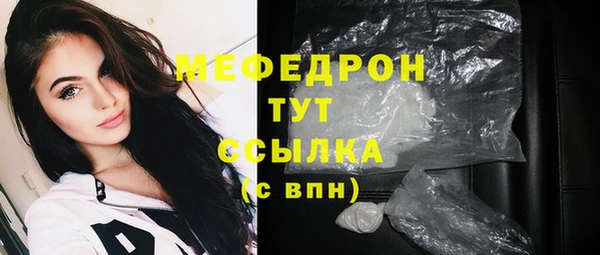 мдпв Вяземский