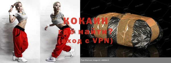 мдпв Вяземский