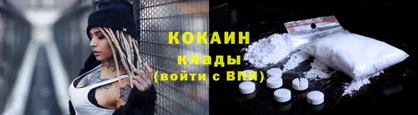 мдпв Вяземский