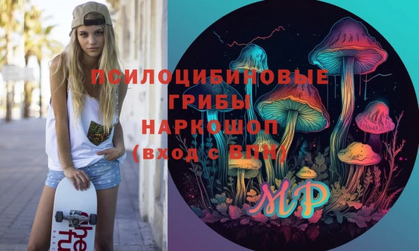 мдпв Вяземский