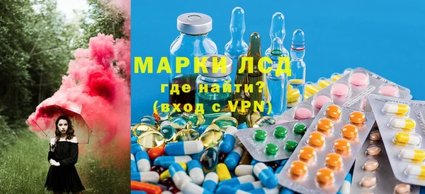 мдпв Вяземский