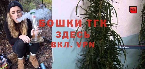 мдпв Вяземский