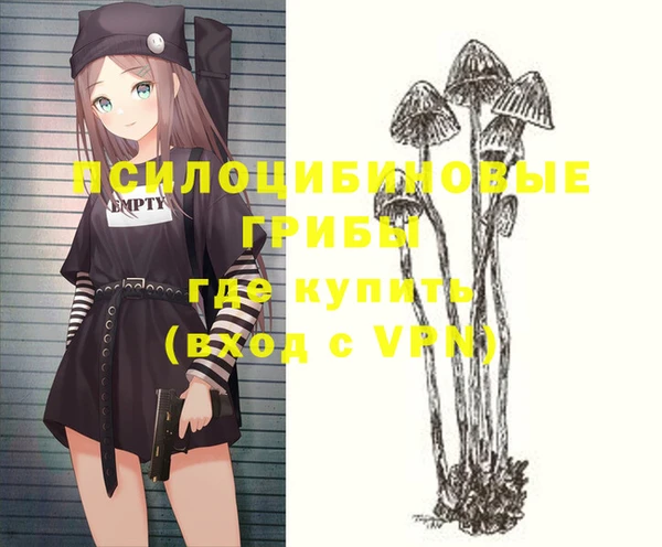 гидропоника Вязьма