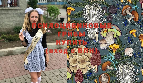 мдпв Вяземский