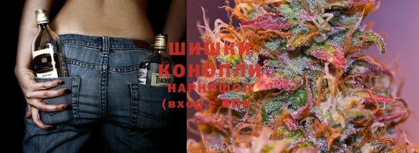 гидропоника Вязьма