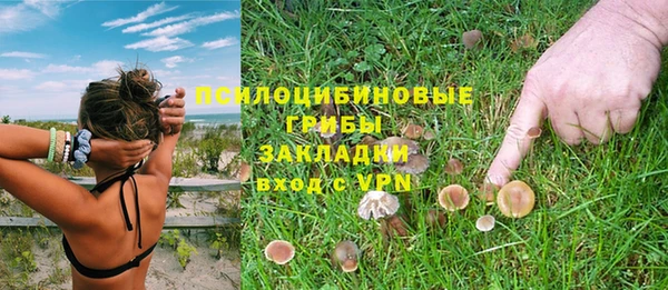 мдпв Вяземский