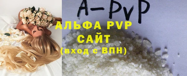 мдпв Вяземский