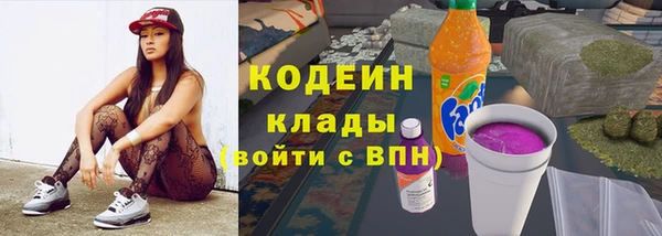 мдпв Вяземский