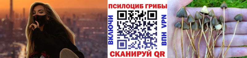 Галлюциногенные грибы MAGIC MUSHROOMS  Купить где  Лобня 